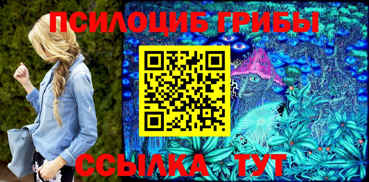 Псилоцибиновые грибы мицелий Гусиноозёрск