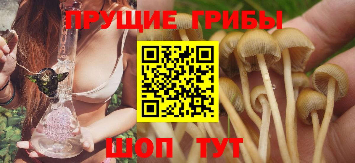 Псилоцибиновые грибы MAGIC MUSHROOMS  цена наркотик  Гусиноозёрск 
