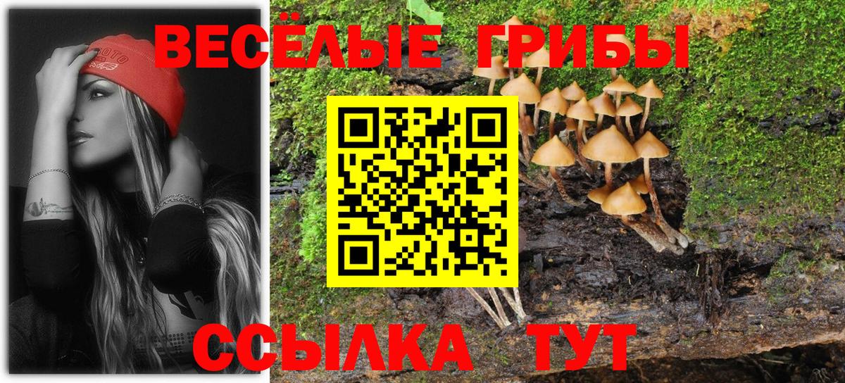Псилоцибиновые грибы Cubensis  Вход с VPN  Гусиноозёрск  Псилоцибиновые грибы GOLDEN TEACHER 